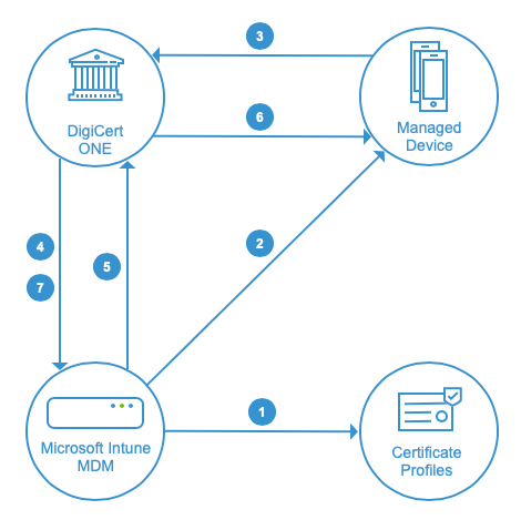 SmallerIntuneDiagram.png SmallerIntuneDiagram.png