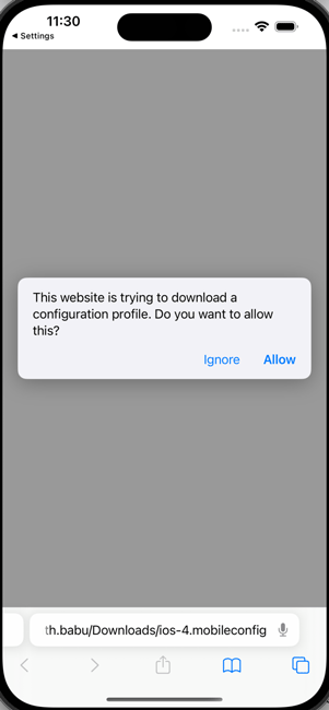 ios_confirm_profile_download.png