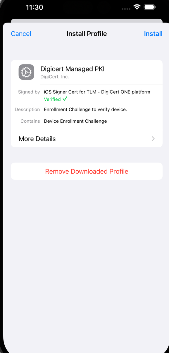 ios_install_profile.png